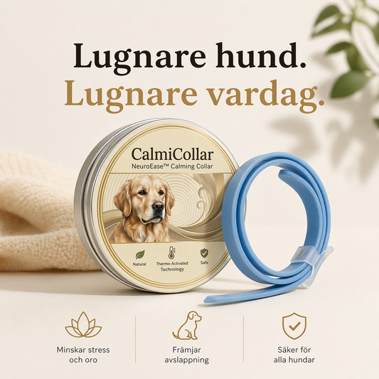 CalmiCollar – Din hjälp mot stress och oro hos din hund