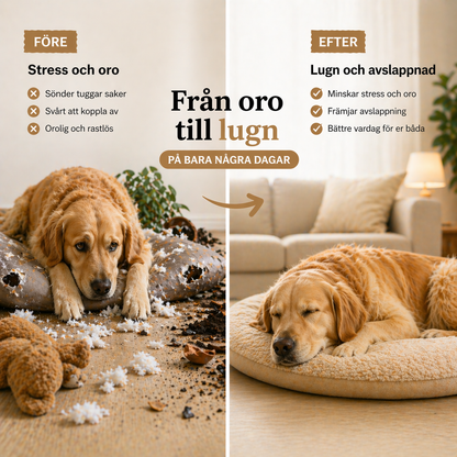 CalmiCollar – Din hjälp mot stress och oro hos din hund